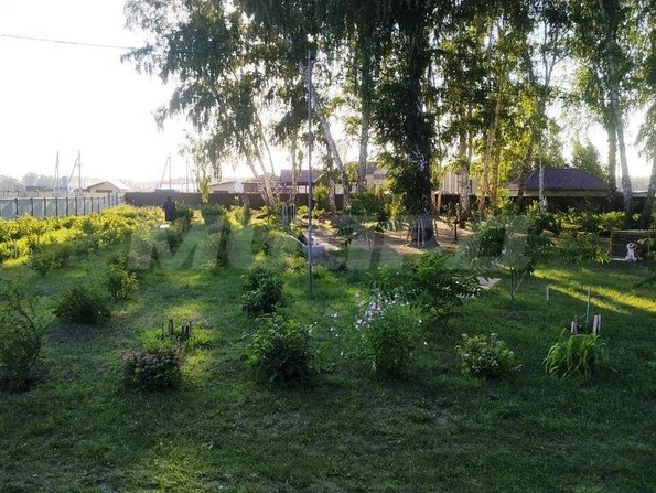 Зеленый край,