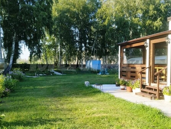 Зеленый край,
