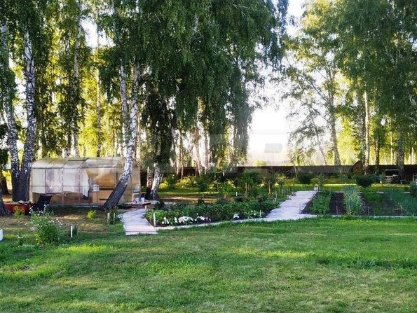 Зеленый край,