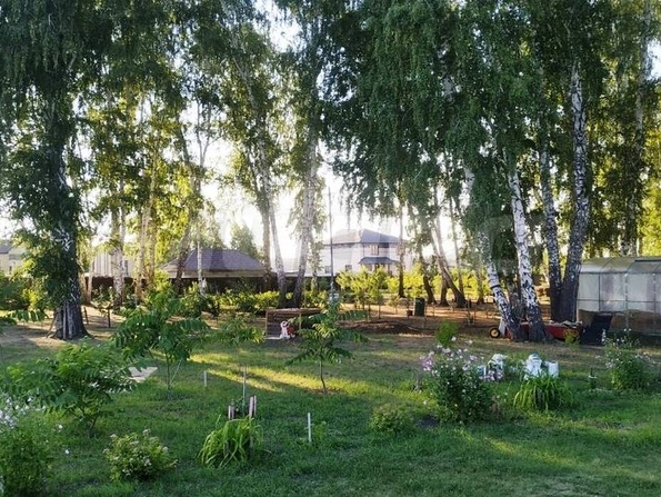 Зеленый край,