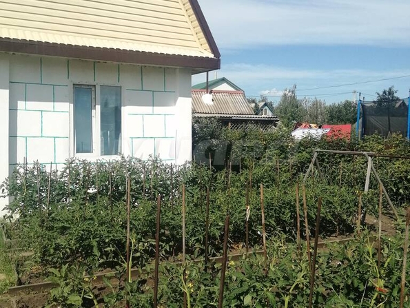Сибирский садовод-3,