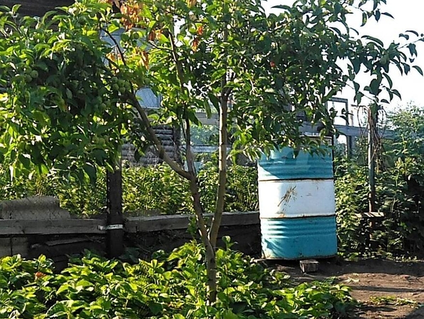СНТ Сибирский садовод-2,