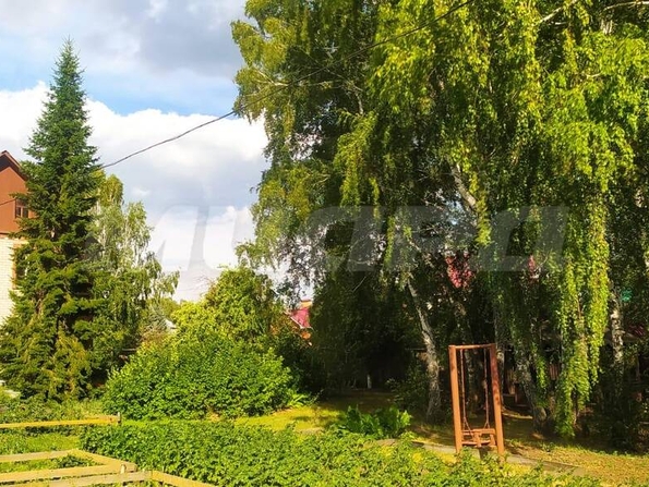 Дружино