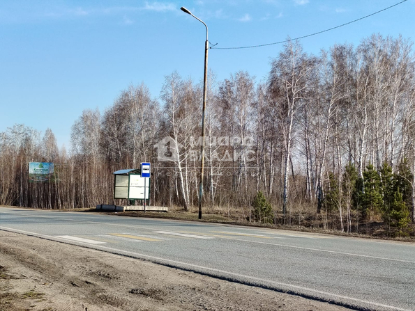 Курортный ,