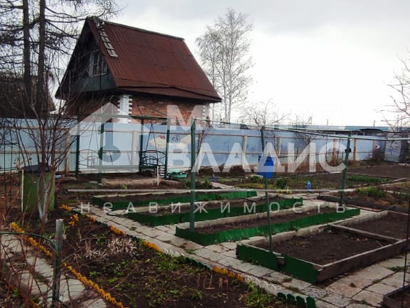 территория СОСН Берёзка,