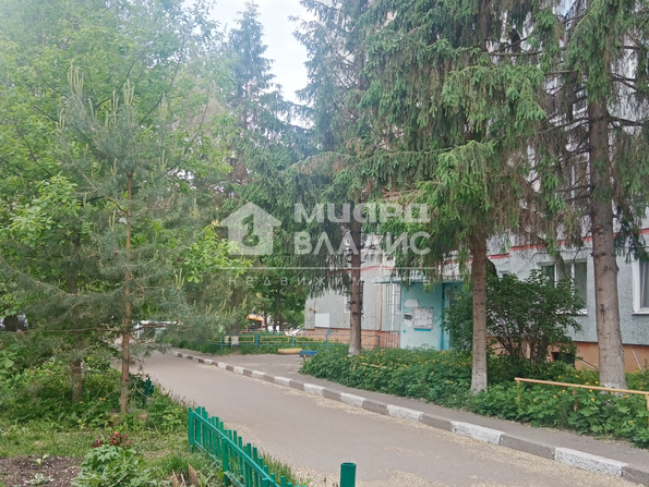Дмитриева, 2/4