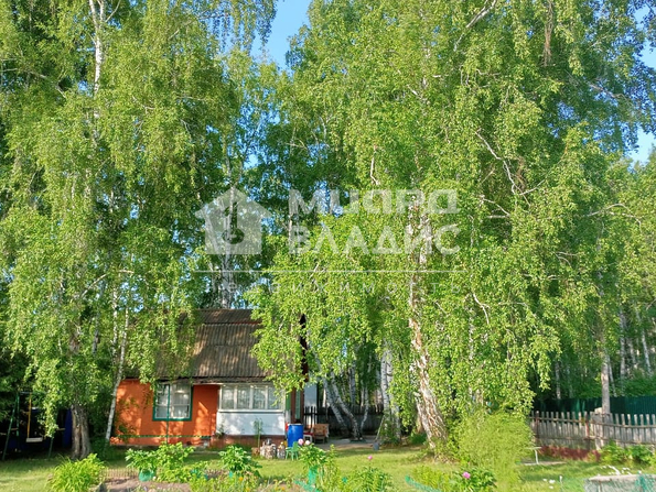 СНТ Курортный,