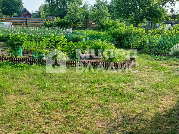 СНТ Курортный,