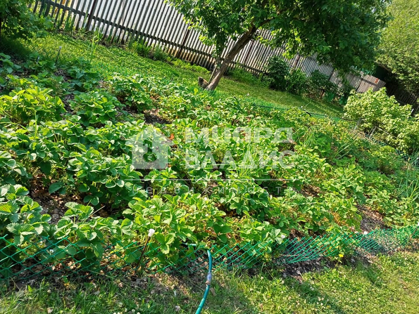 СНТ Курортный,