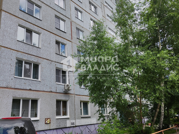 Дмитриева, 2/1