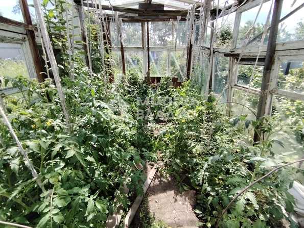 СНТ Здоровье, 785,