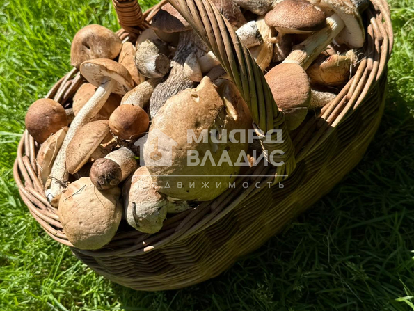 СНТ Озёрное,