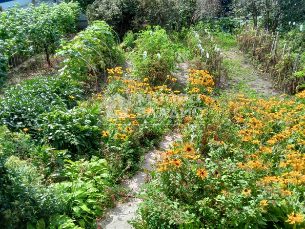 СНТ Тепличный-1,