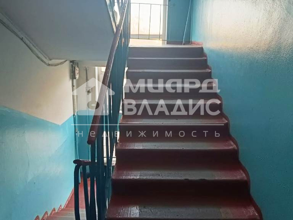 Петра Осминина, 17