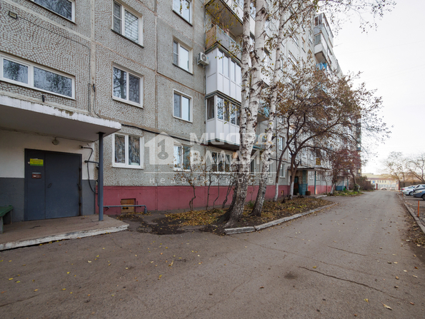 Северная 5-я, 193/1