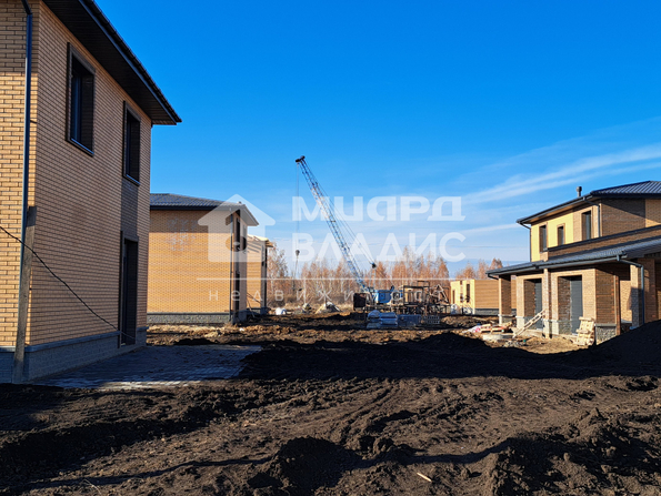 Александра Трикачева