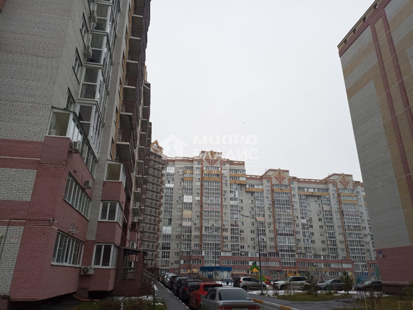 Перелета, 19