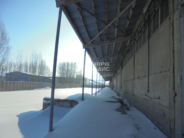 Краснопахарский