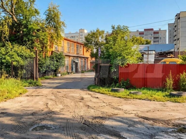Арнольда Нейбута