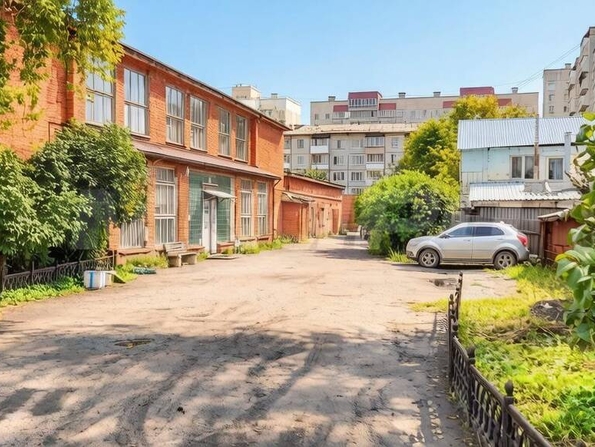 Арнольда Нейбута
