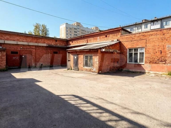 Арнольда Нейбута