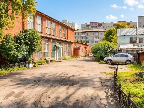 Арнольда Нейбута