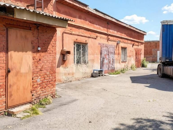 Арнольда Нейбута