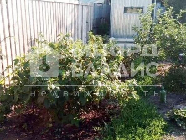 СНТ Здоровье,