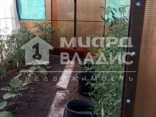 СНТ Здоровье,