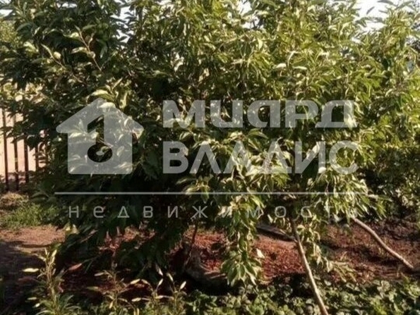 СНТ Здоровье,