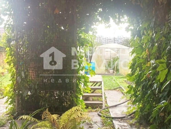 территория СОСН Патриот,