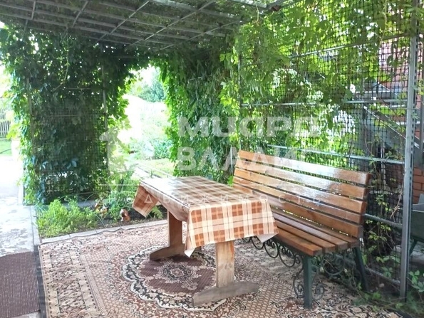 территория СОСН Патриот,