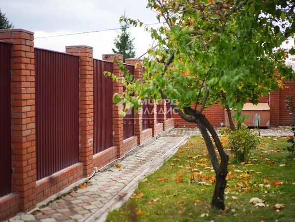 Суворова