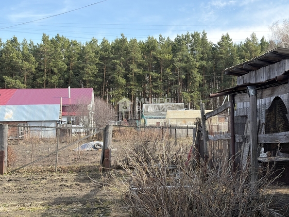 Пионерская