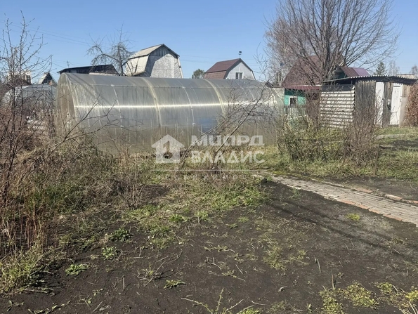 ТСН СНТ Ромашка,