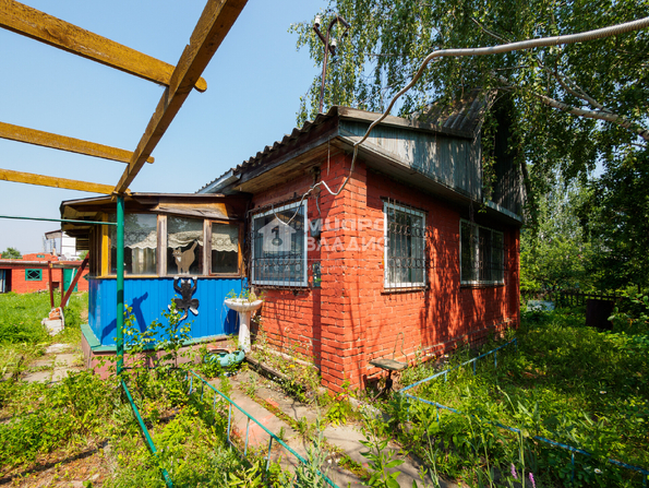 территория СОСН Тепличный-2,