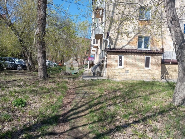 Андрианова
