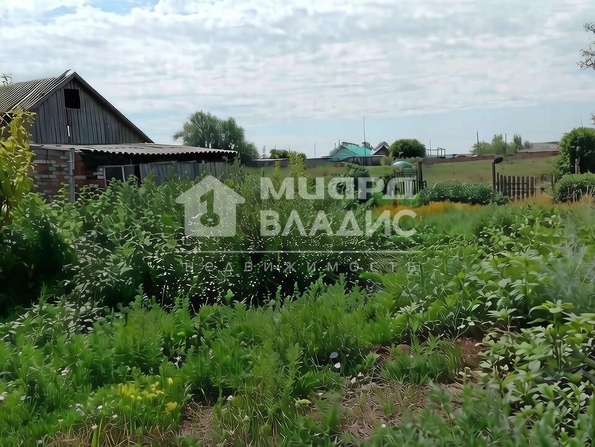 Алтайская