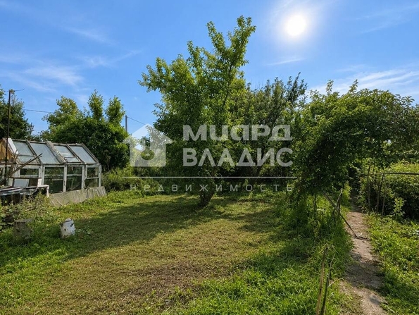 территория СОСН Родник,