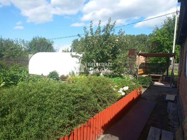 территория СОСН Шинник-3,