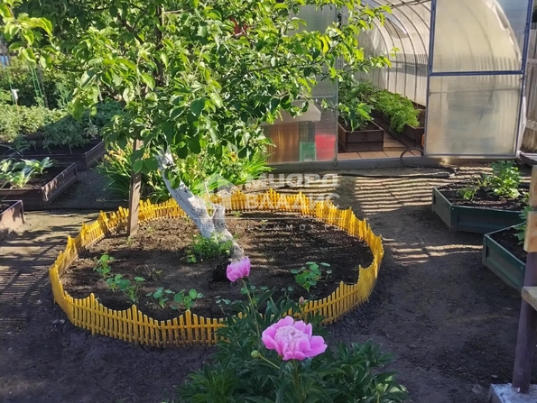 территория СОСН Шинник-3,