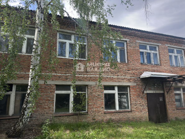 Зеленая