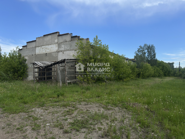 Зеленая