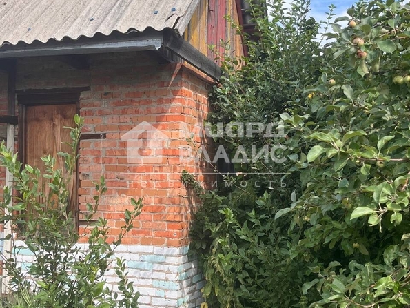 территория СОСН Радуга-3,