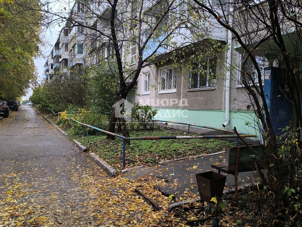Челюскинцев, 101